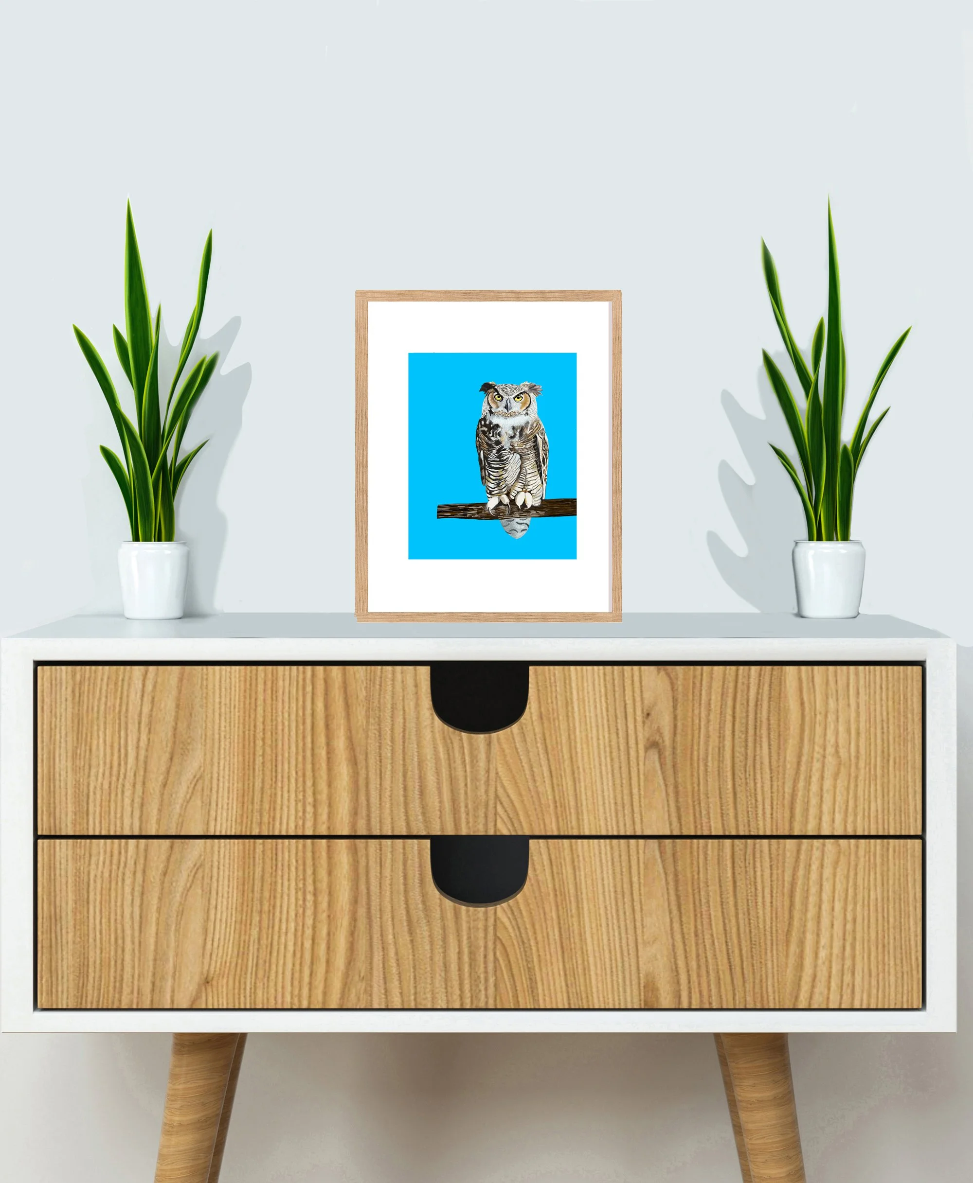 CABINETHornedOwl.jpg