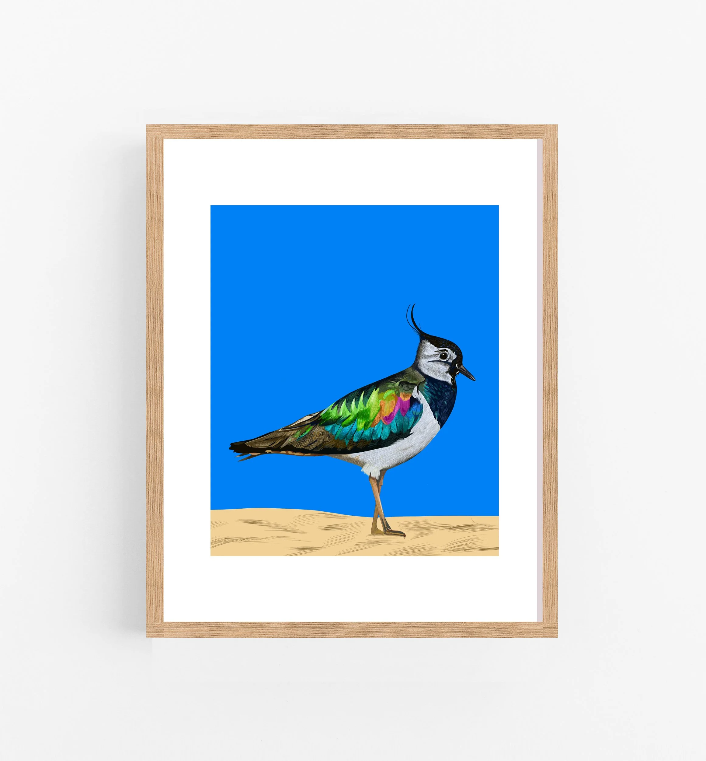 FAIREFRAMENorthLapwing.jpg