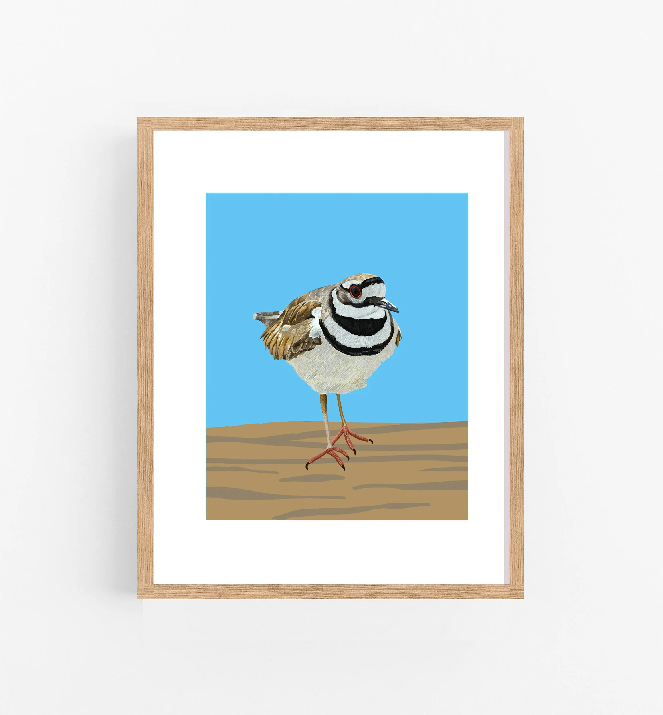 FAIREFRAMEKilldeer.jpg