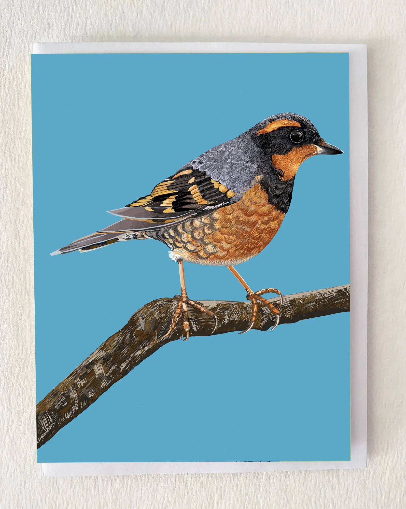 MOCKVariedThrush.jpg