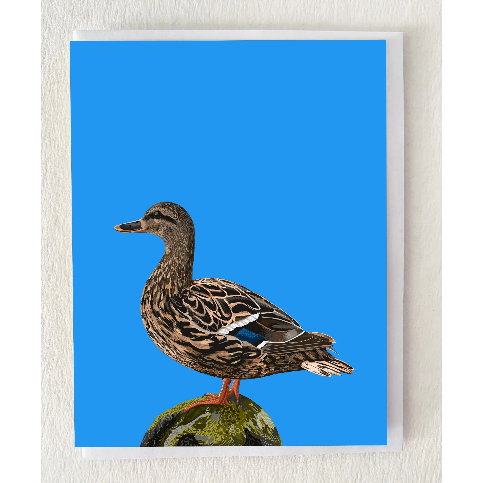 The Female Mallard Duck Greeting Card