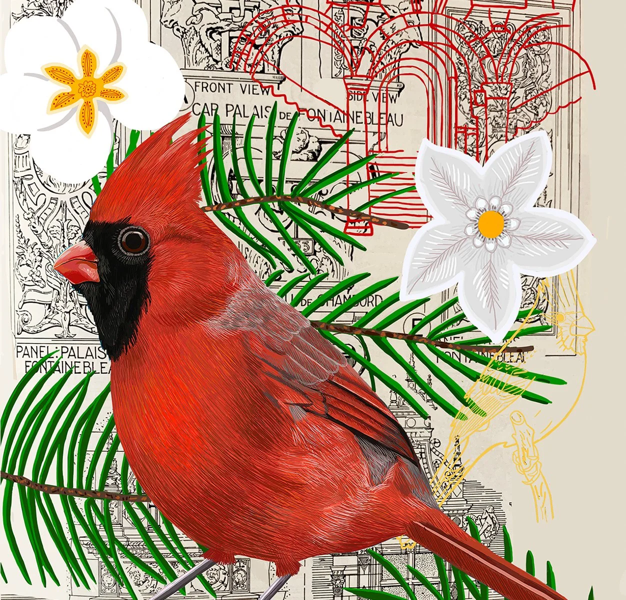 ZOOMX Cardinal Collage.jpg