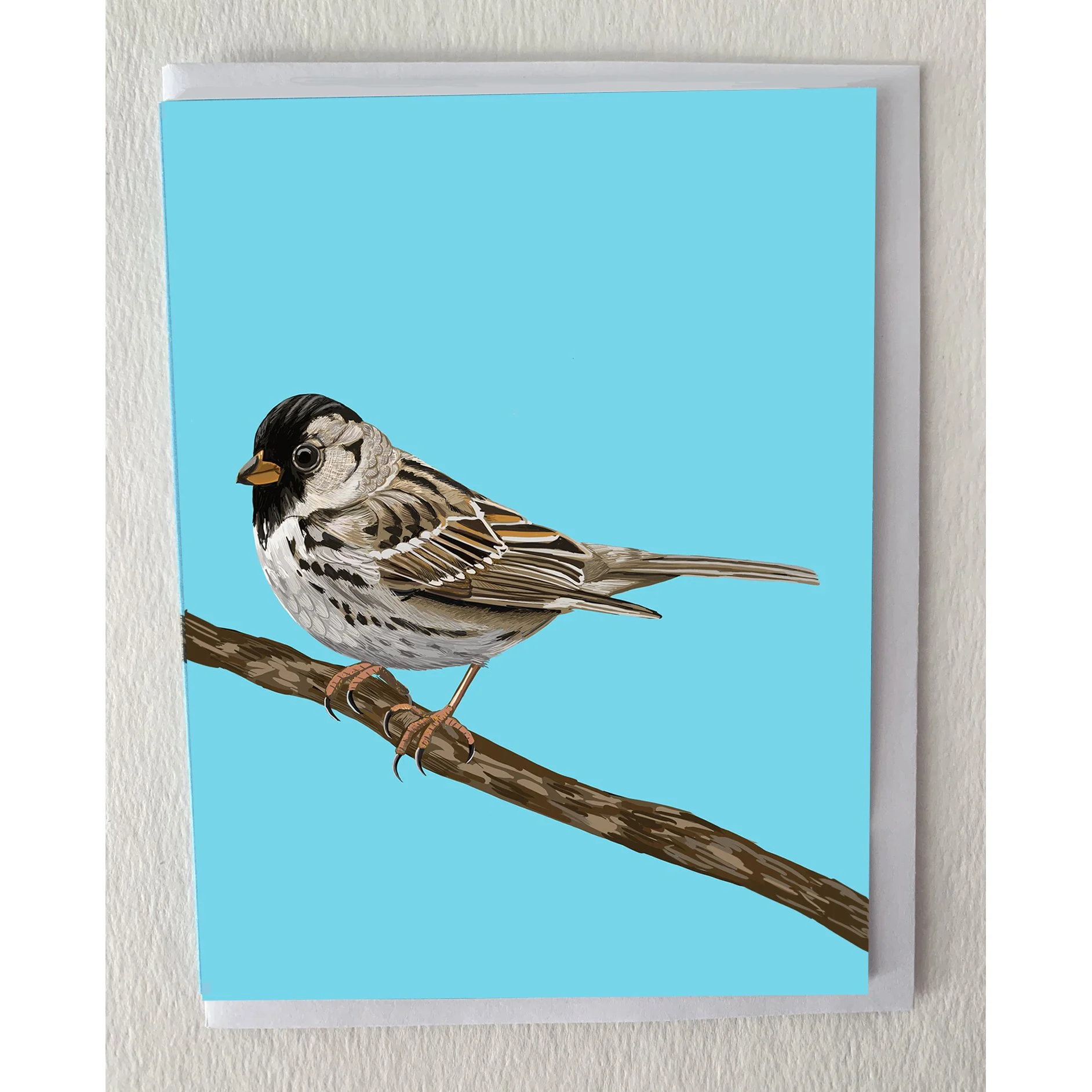 The Harris's Sparrow Greeting Card