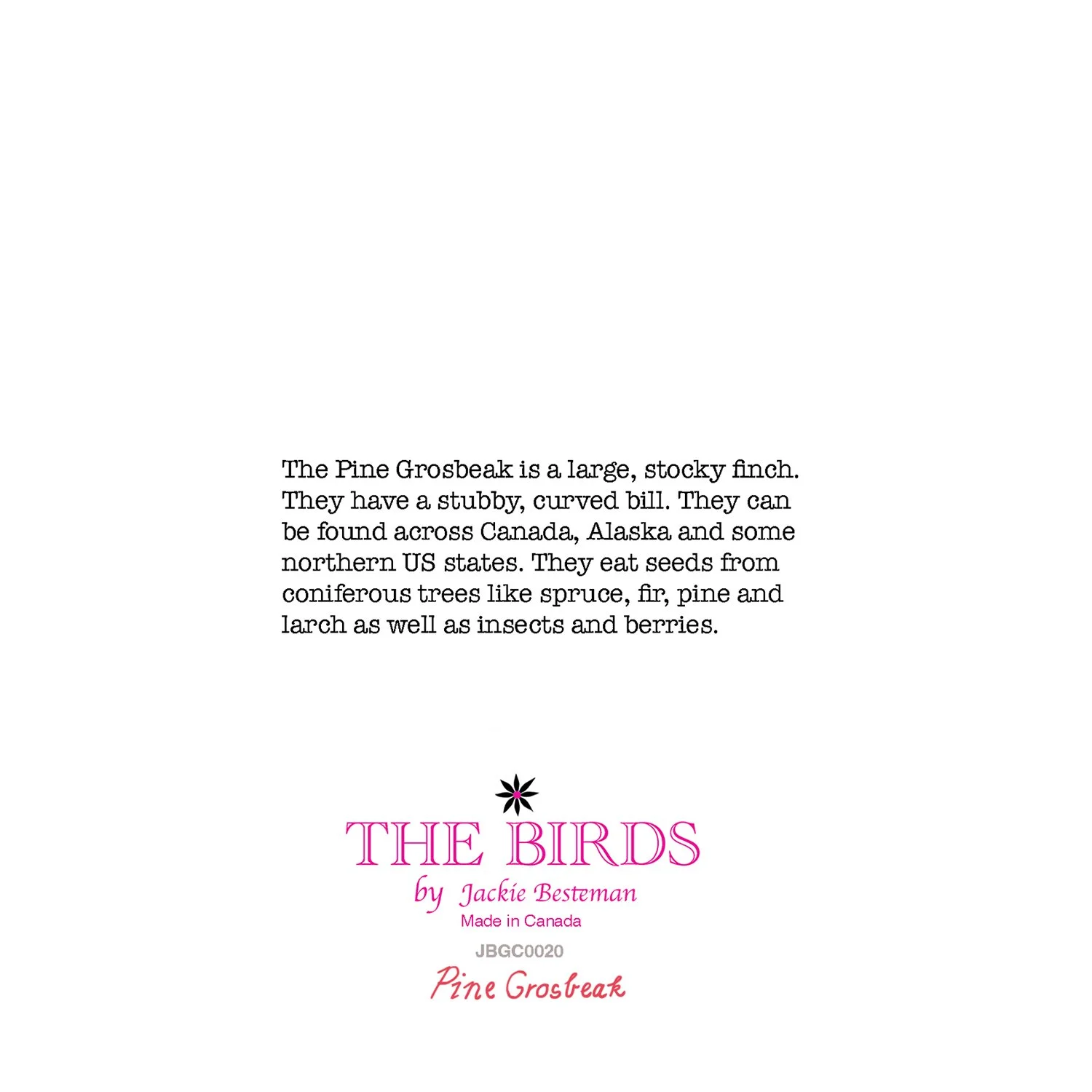 Illustrated pine grosbeak bird greeting card pink blue