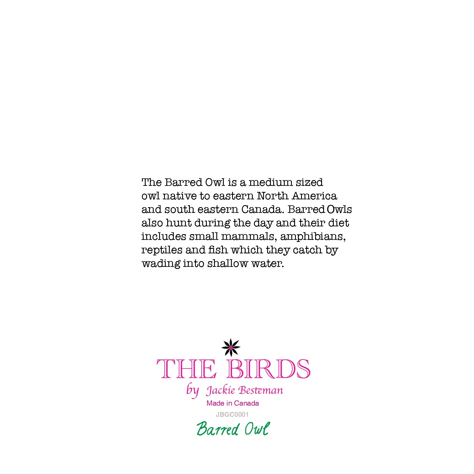 greeting card of barred owl bird green