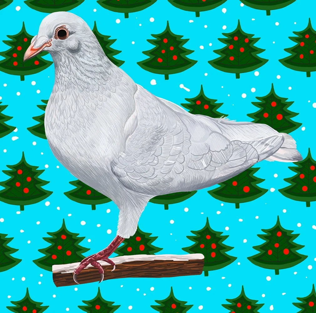 ZOOMXmasDove.jpg