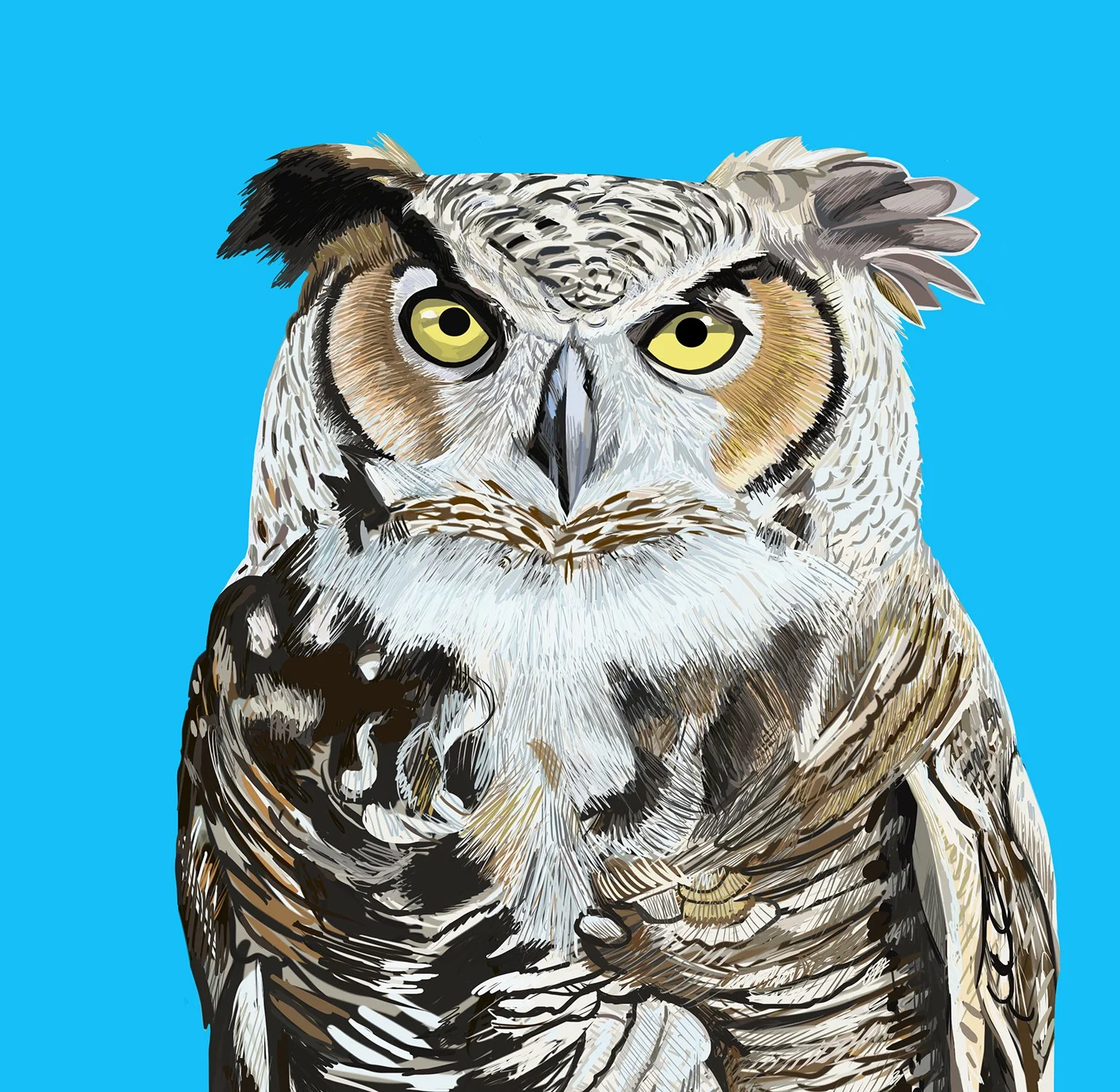 ZOOMHornedOwl.jpg
