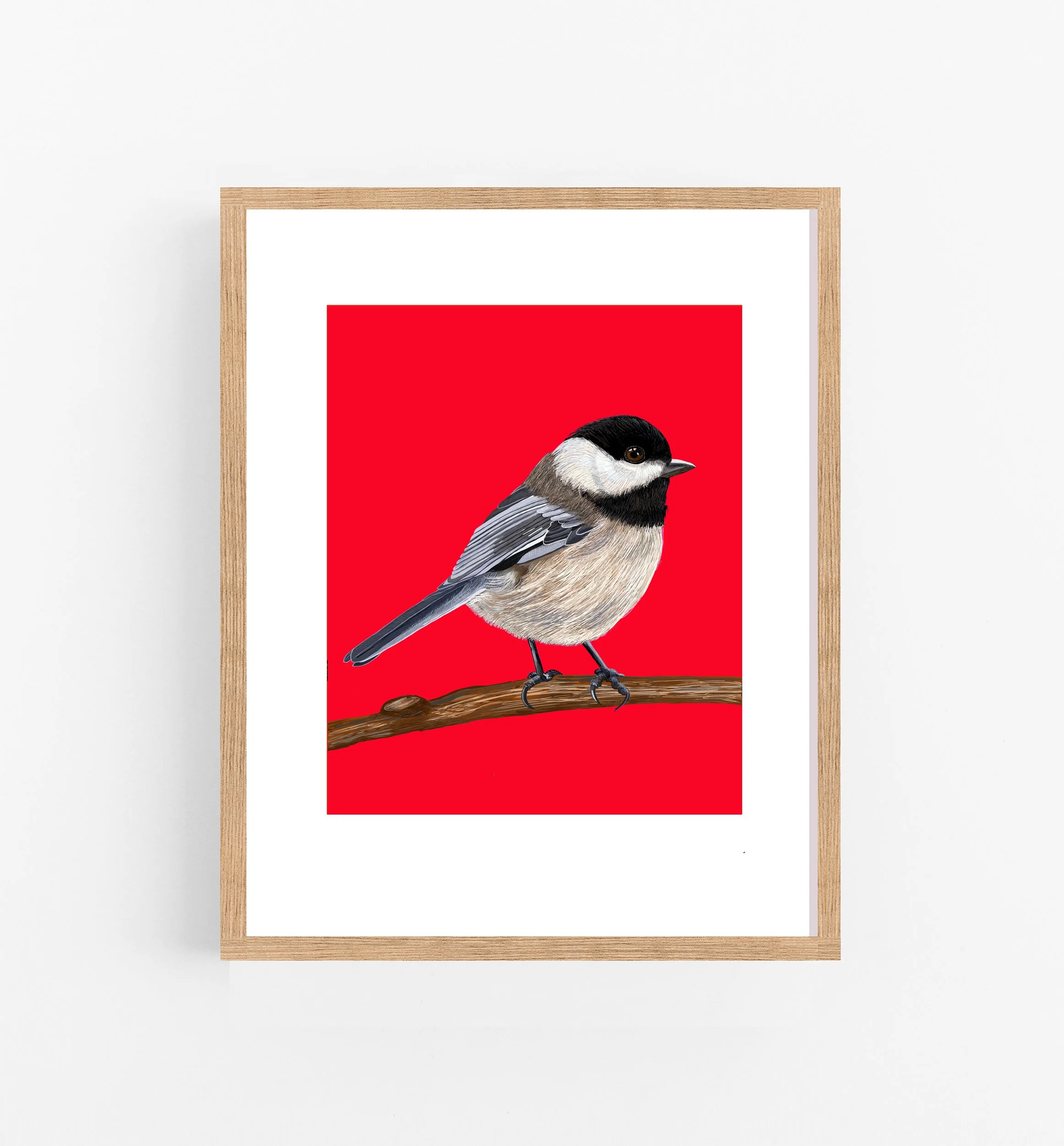 The Black-capped Chickadee Bird Print