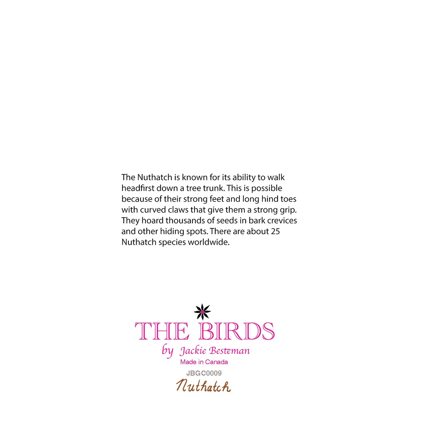 Illustrated nuthatch bird greeting card