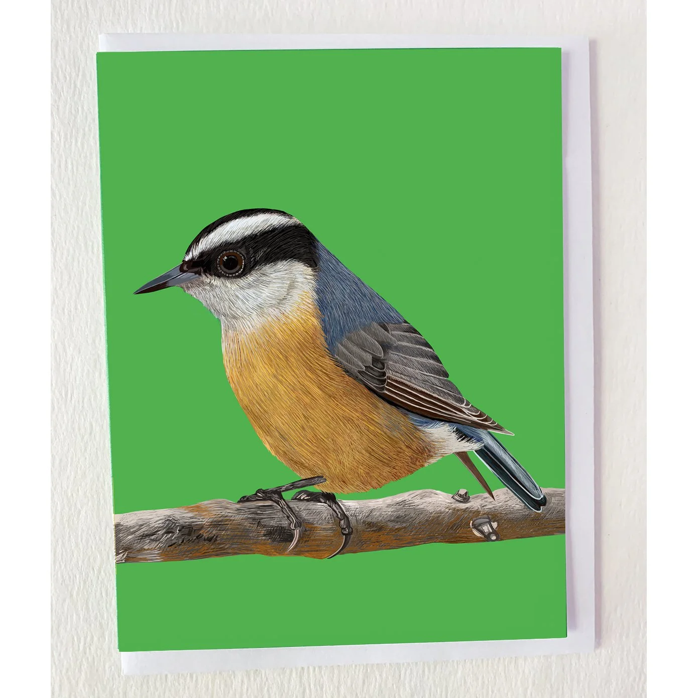 The Nuthatch on Branch Greeting Card
