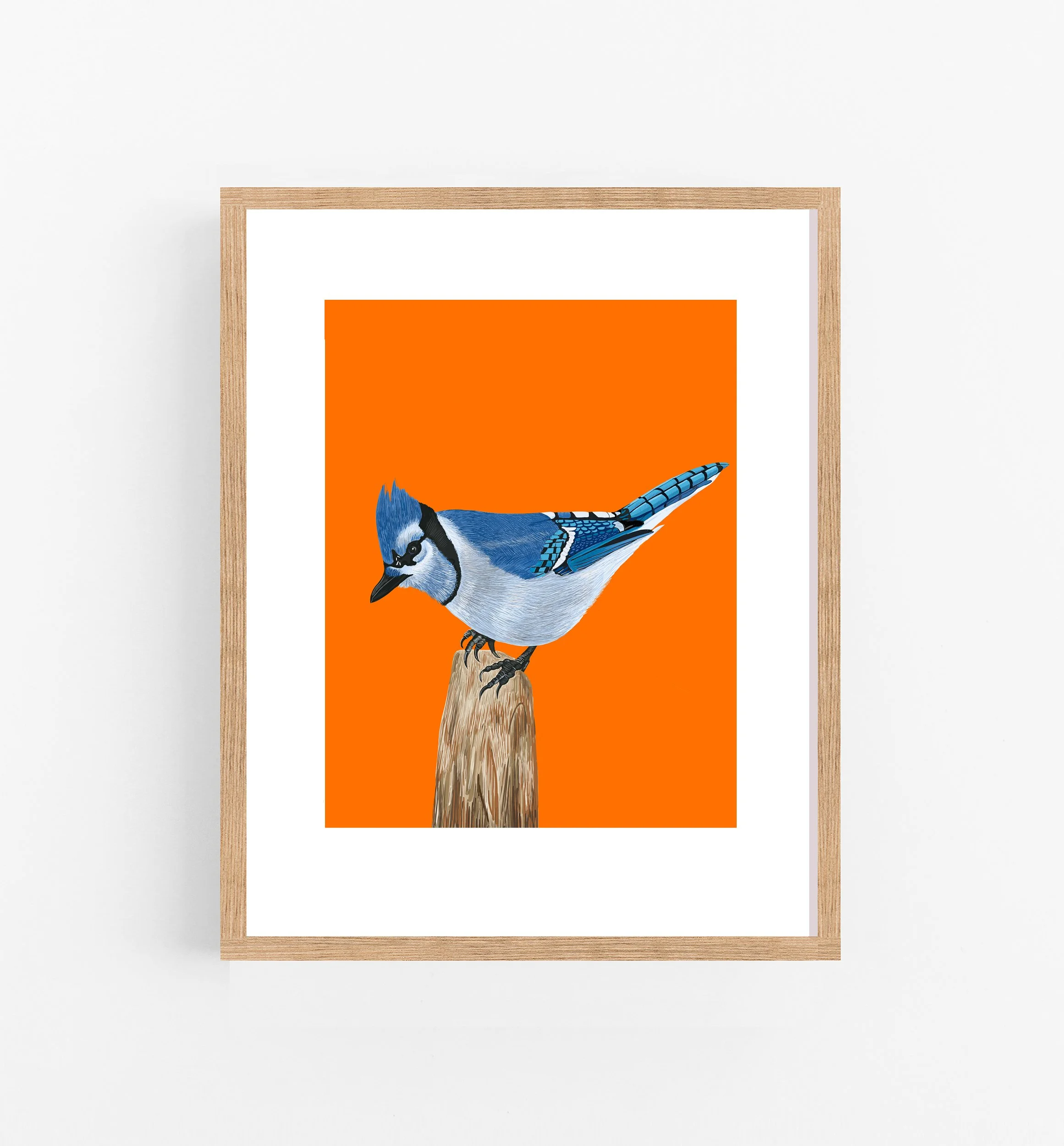 The Blue jay on Tree Stump Print