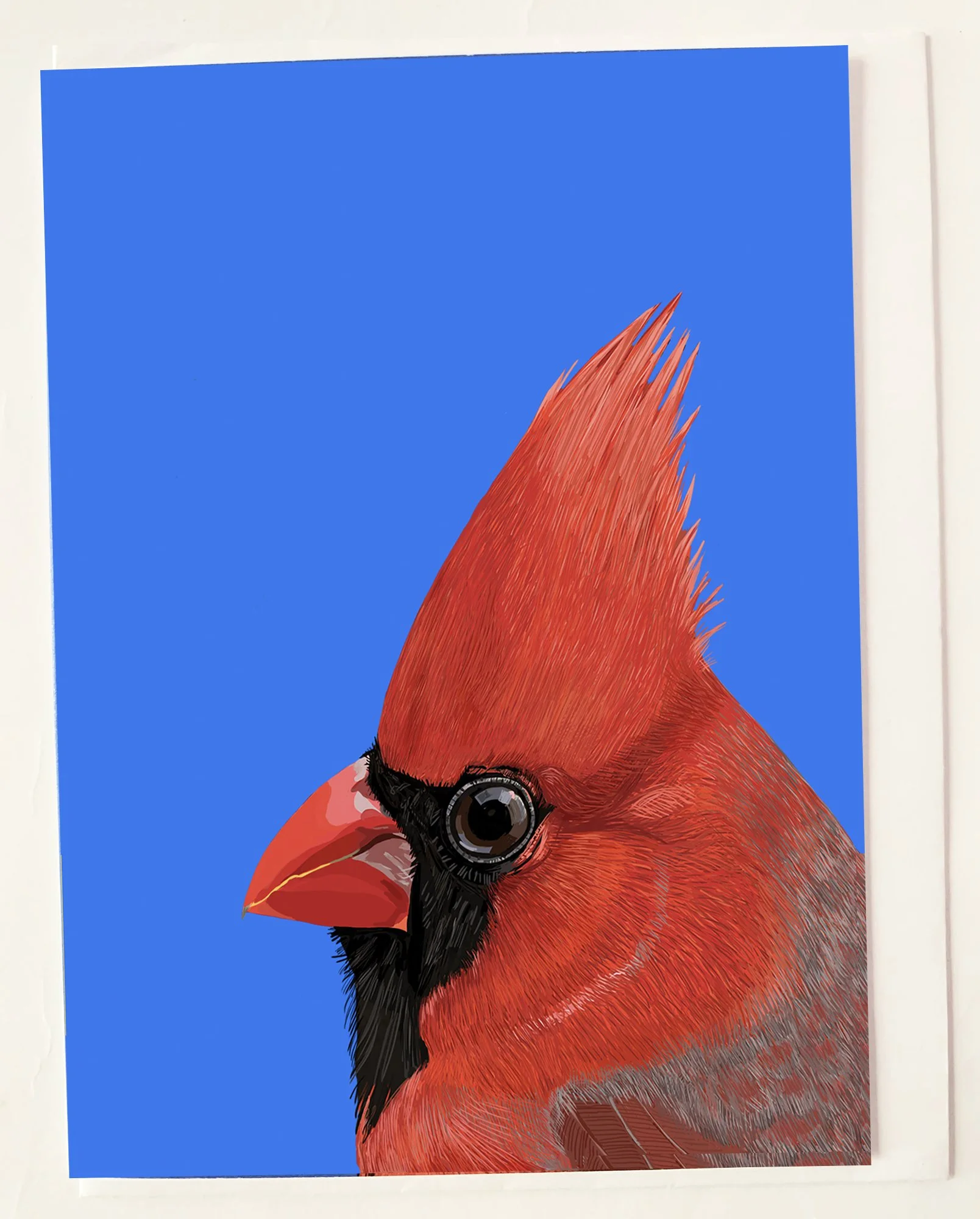 MOCKCardinalBlue.jpg