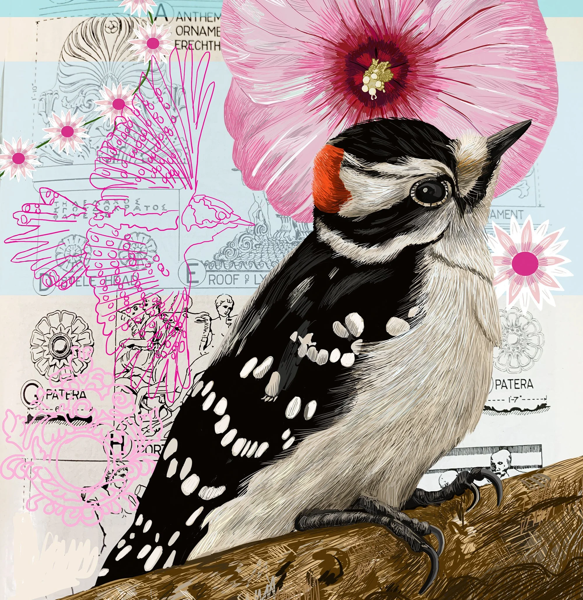The Downey Woodpecker Collage Greeting Card