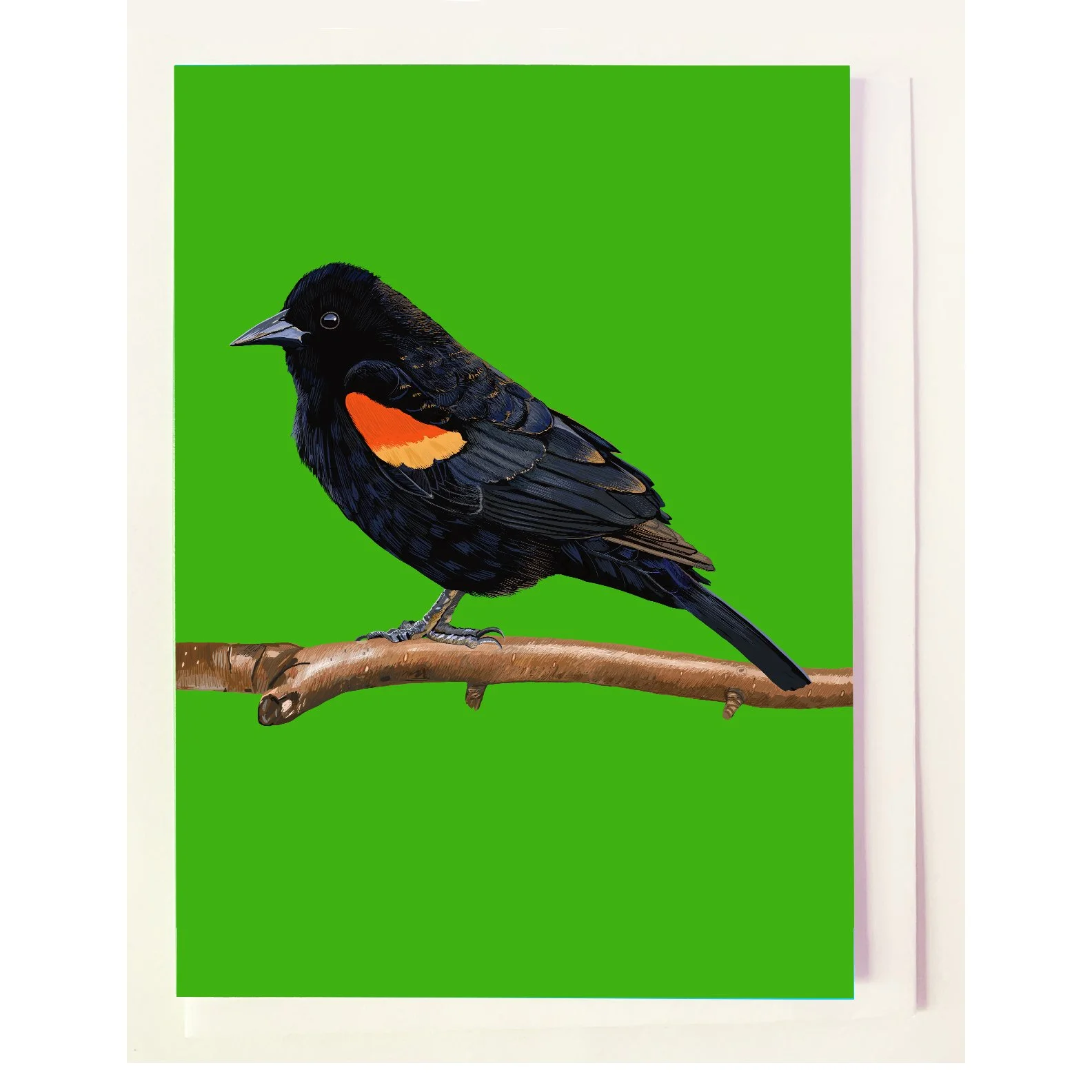 NEW ~~ The Red-winged Blackbird on Branch Greeting Card