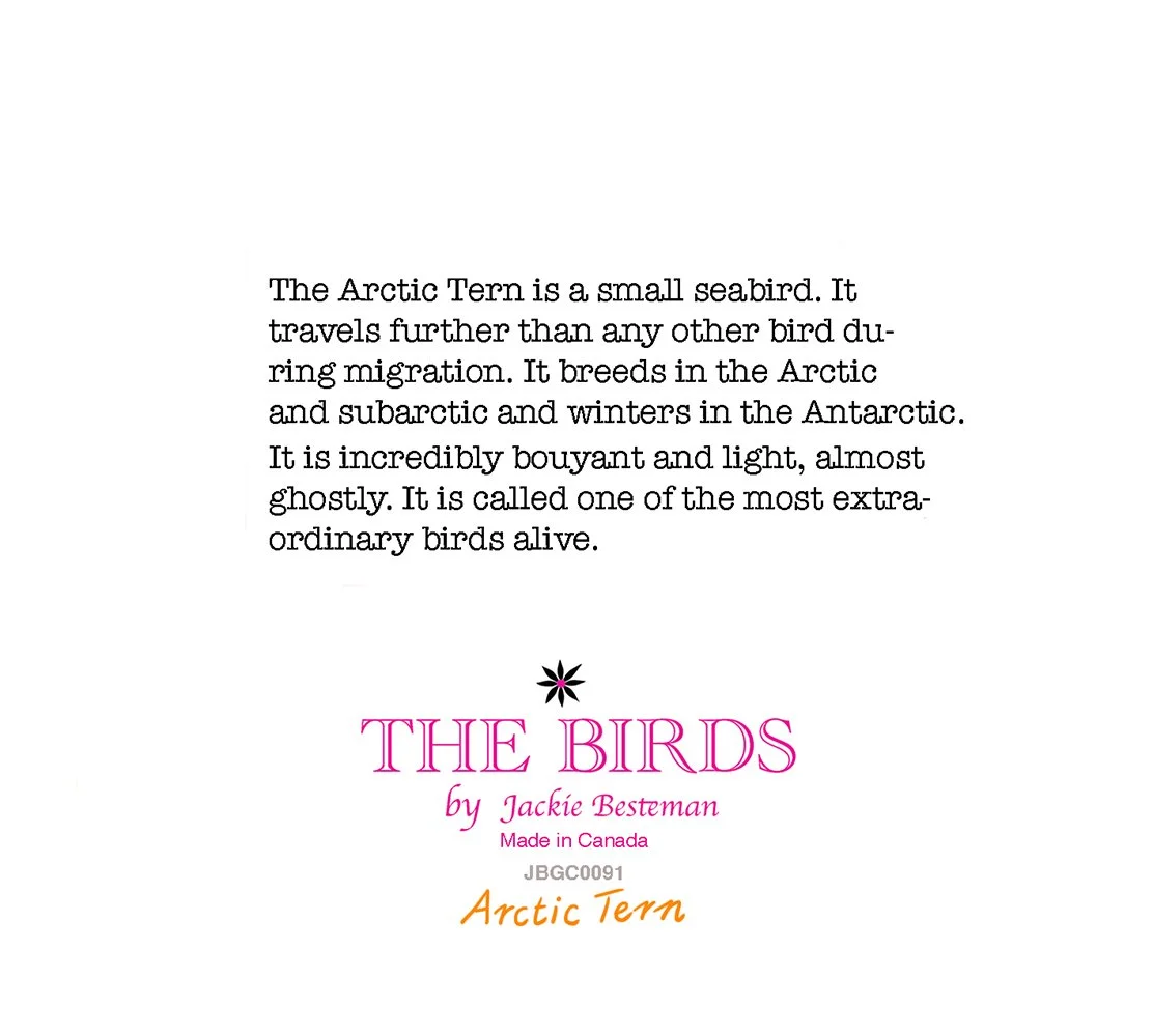 BACK ArcticTern.jpg
