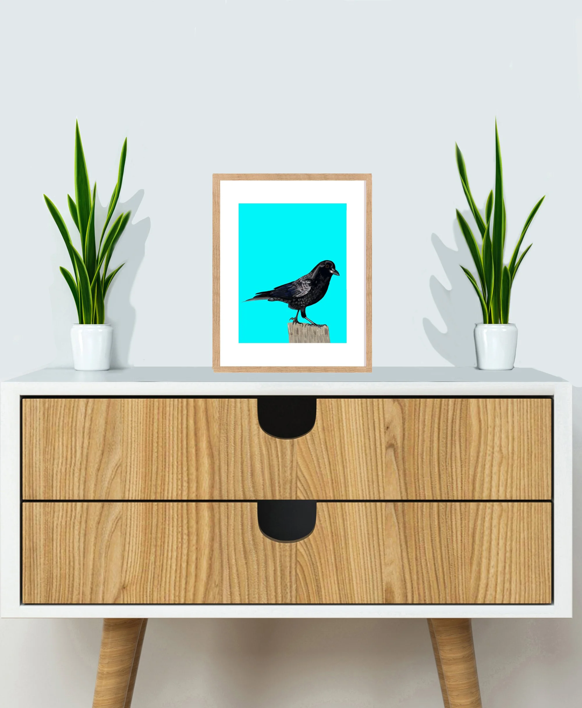 CABINETAmerican Crow.jpg