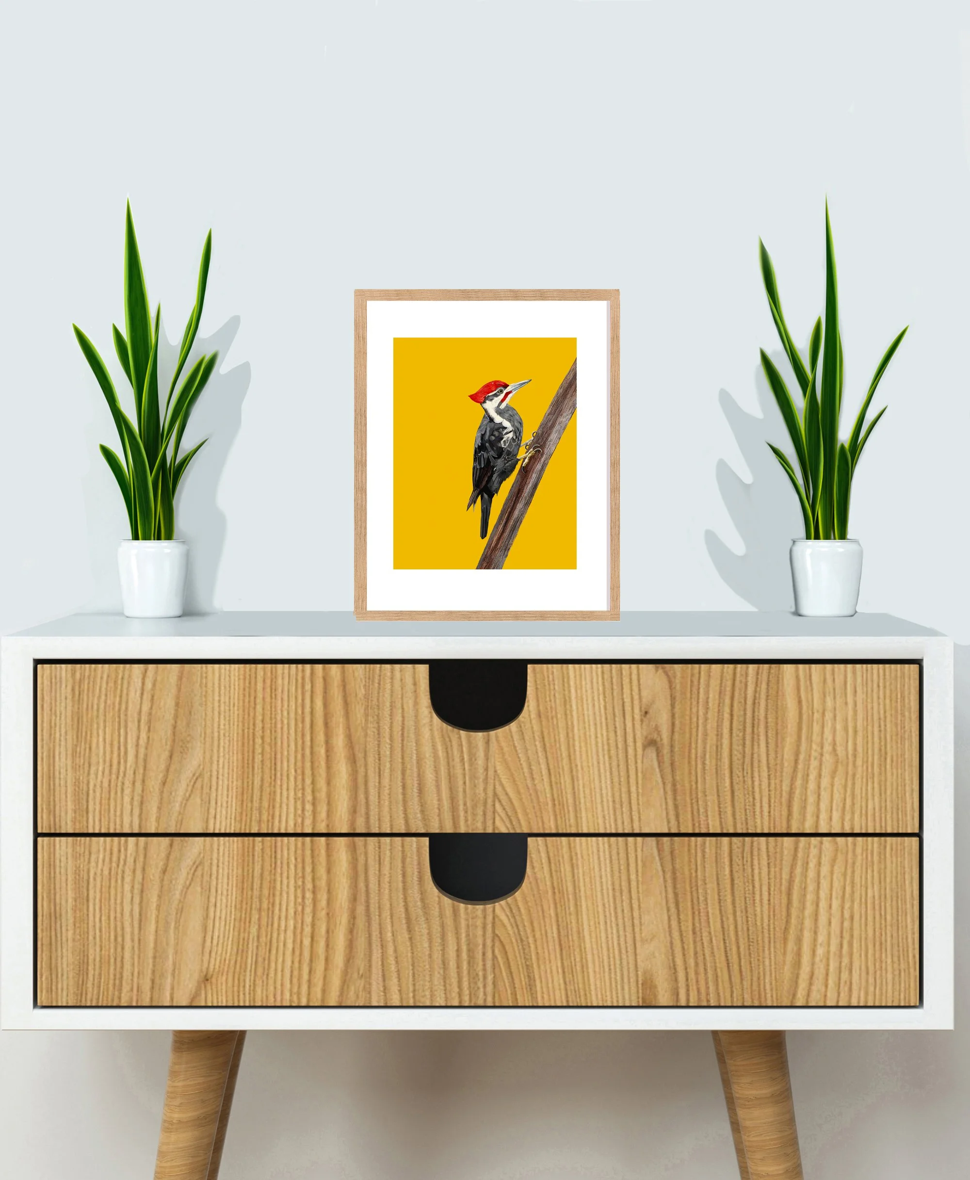 CABINETPaleatedWoodpecker.jpg