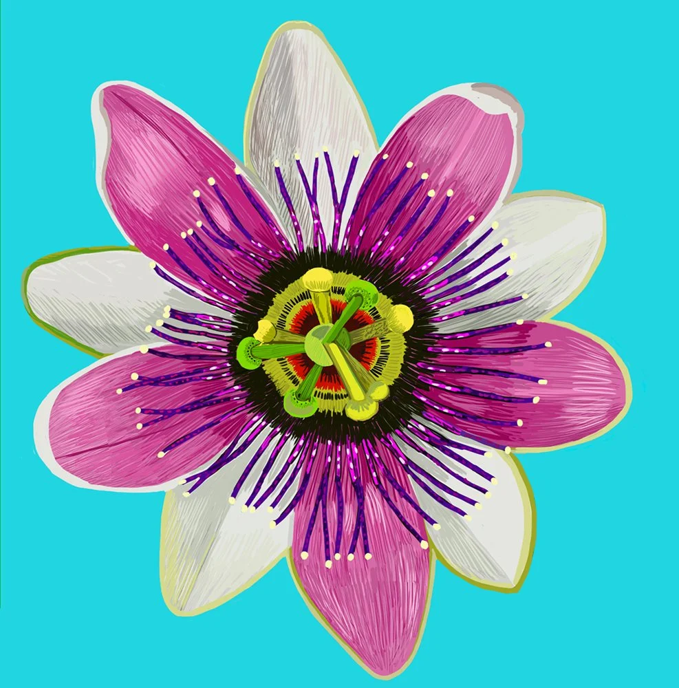 ZOOM PassionFlower.jpg