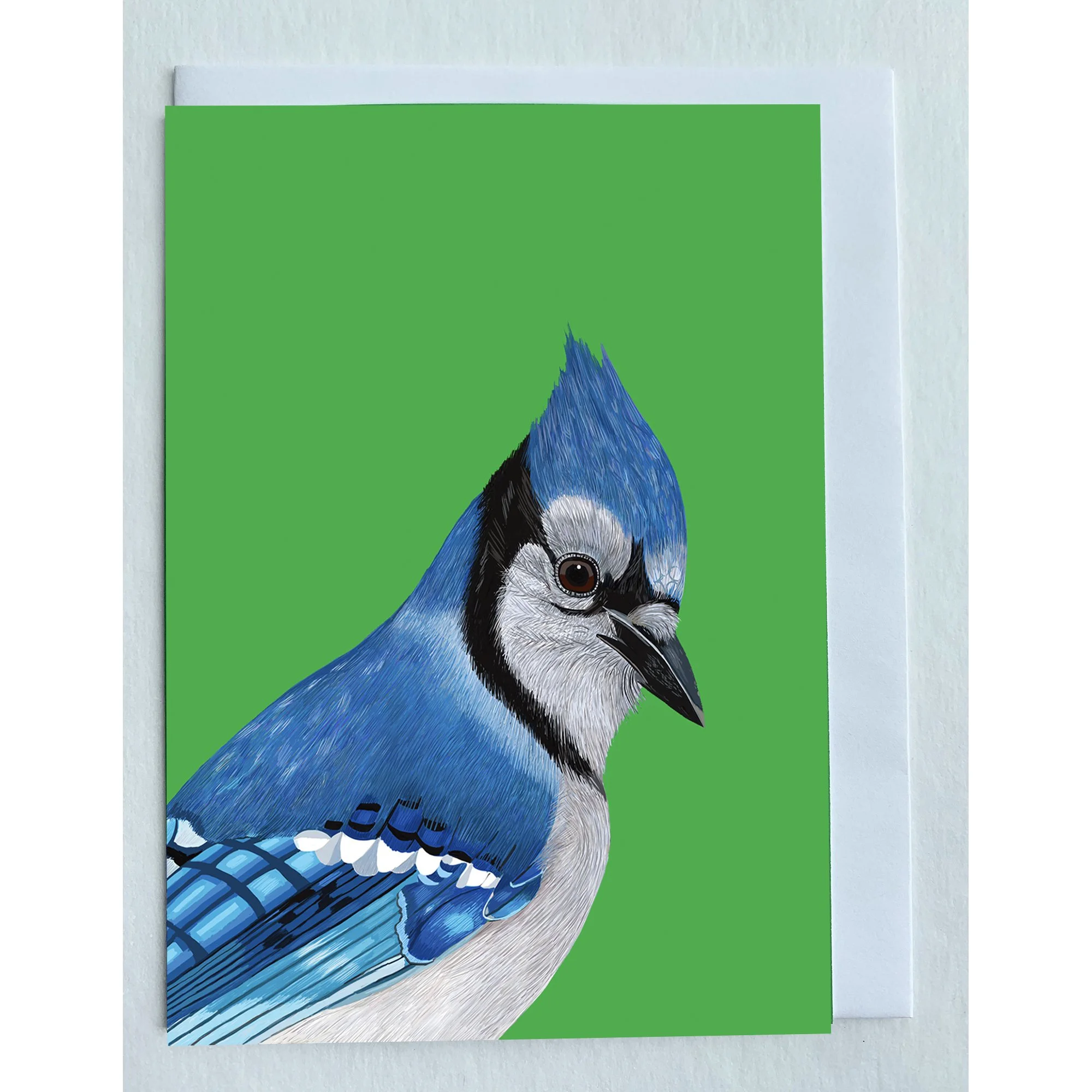 Blue Jay Portrait Greeting Card