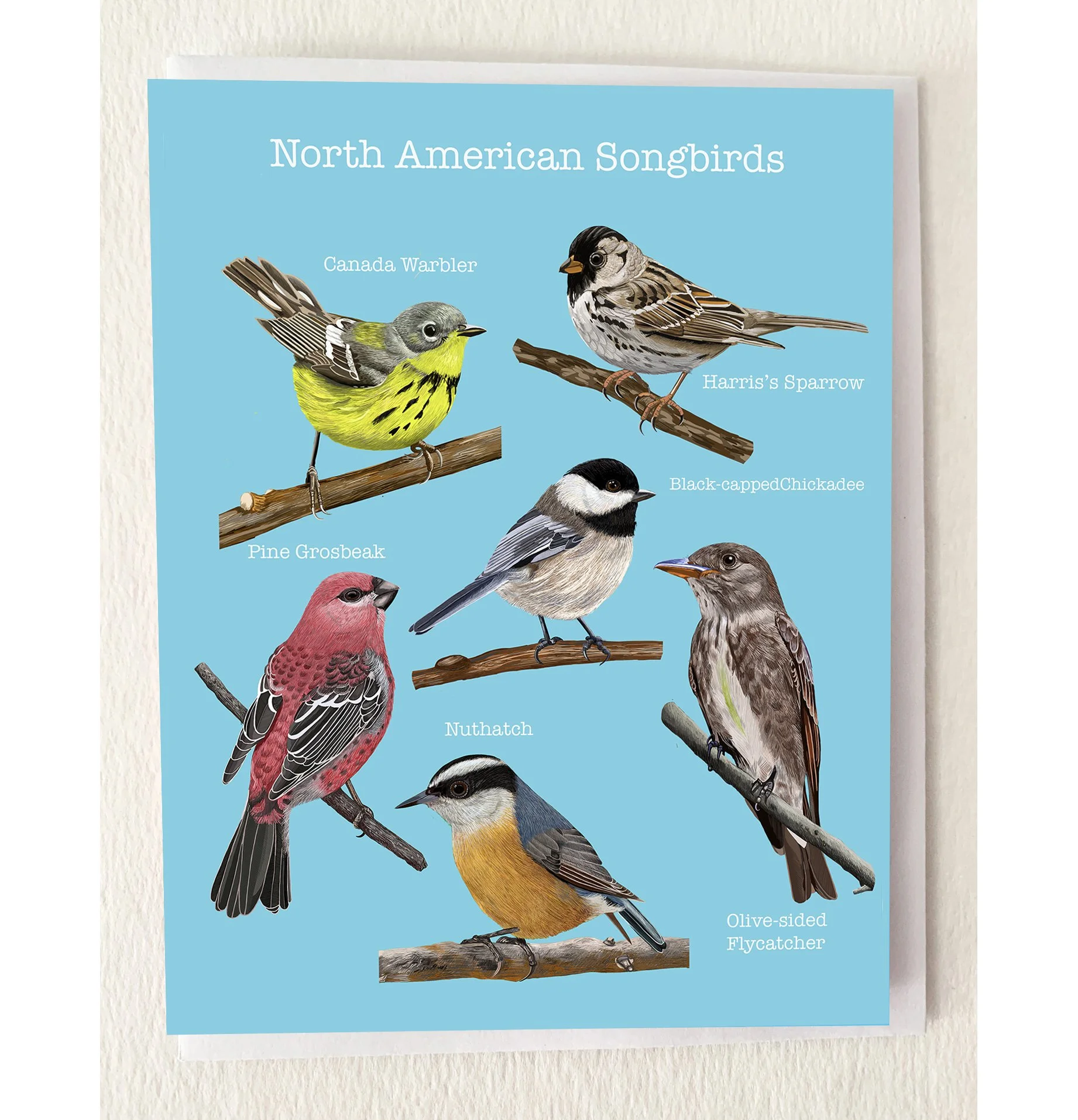 North American Songbirds Greeting Card
