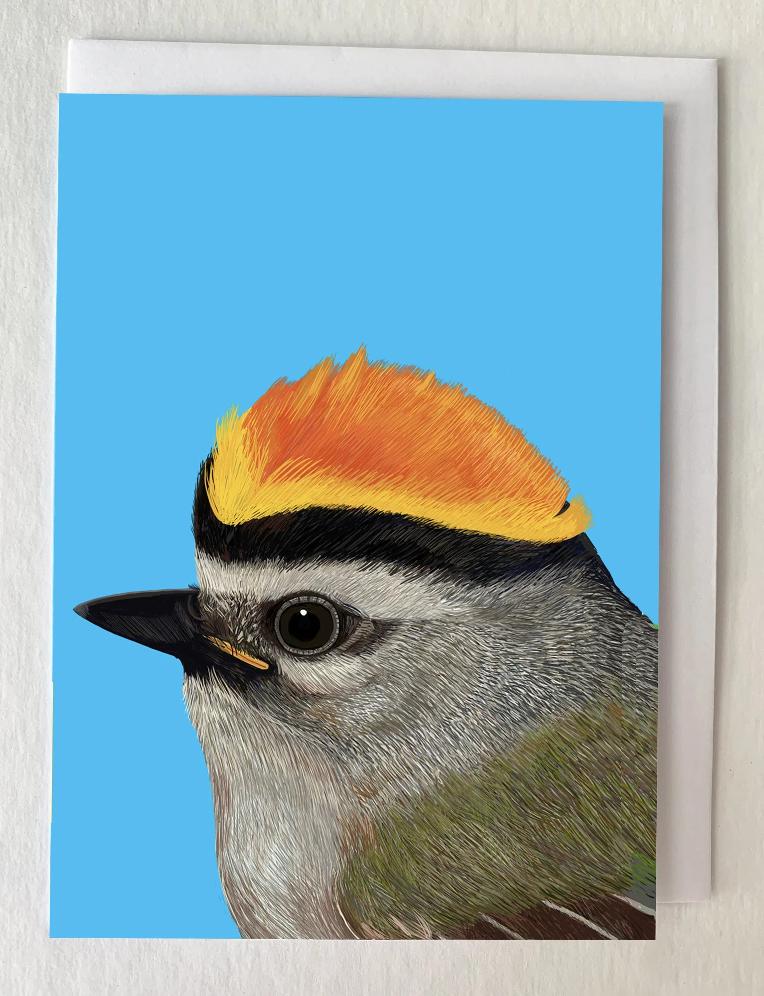 MOCKKinglet.jpg
