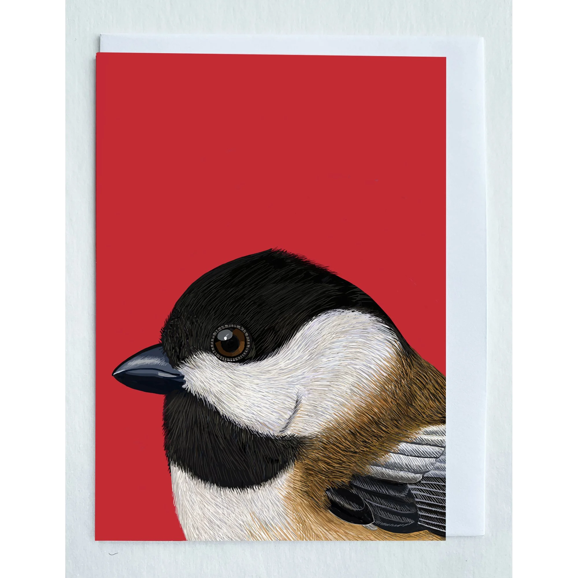 The Black-capped Chickadee Greeting Card
