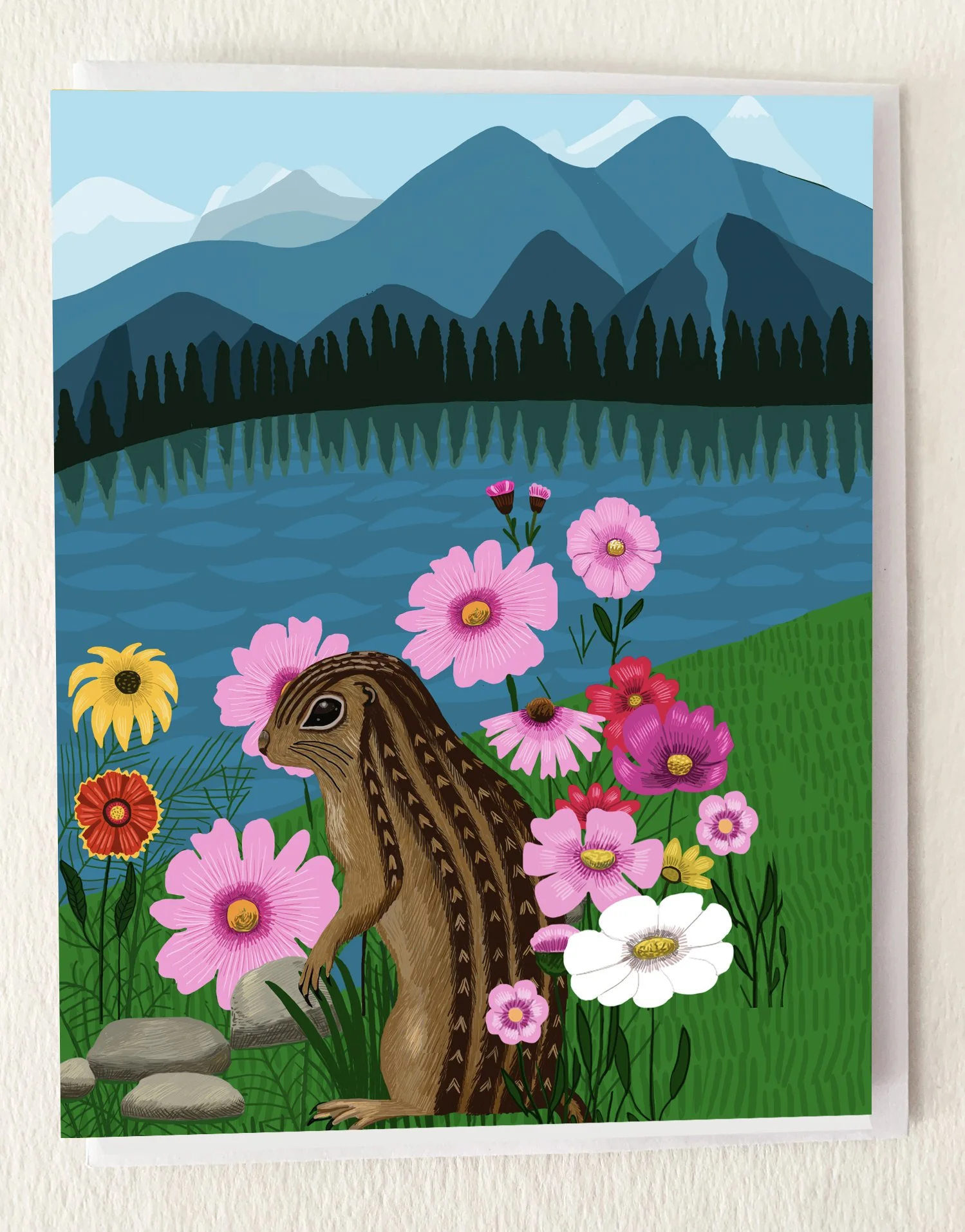 DISPLAYSquirrel.jpg