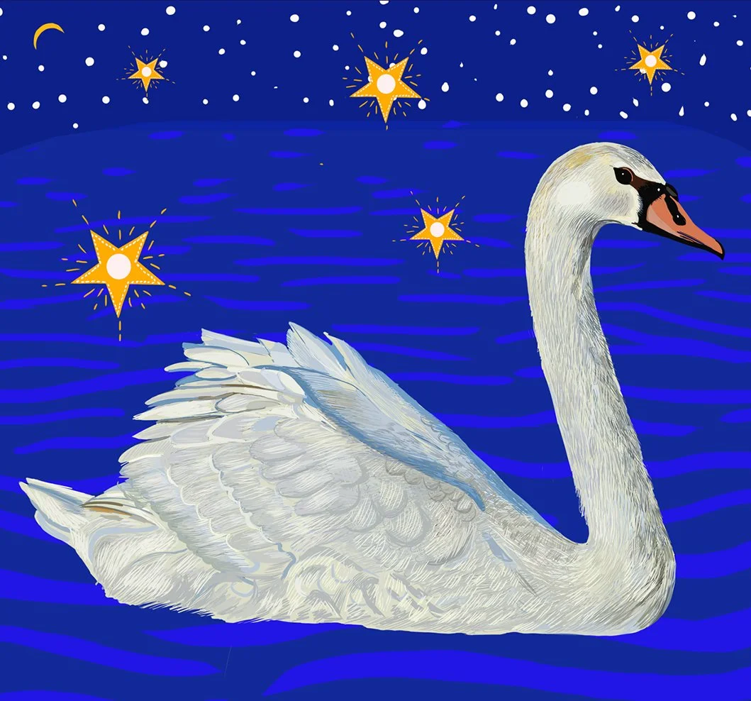 ZOOMSwan Star.jpg