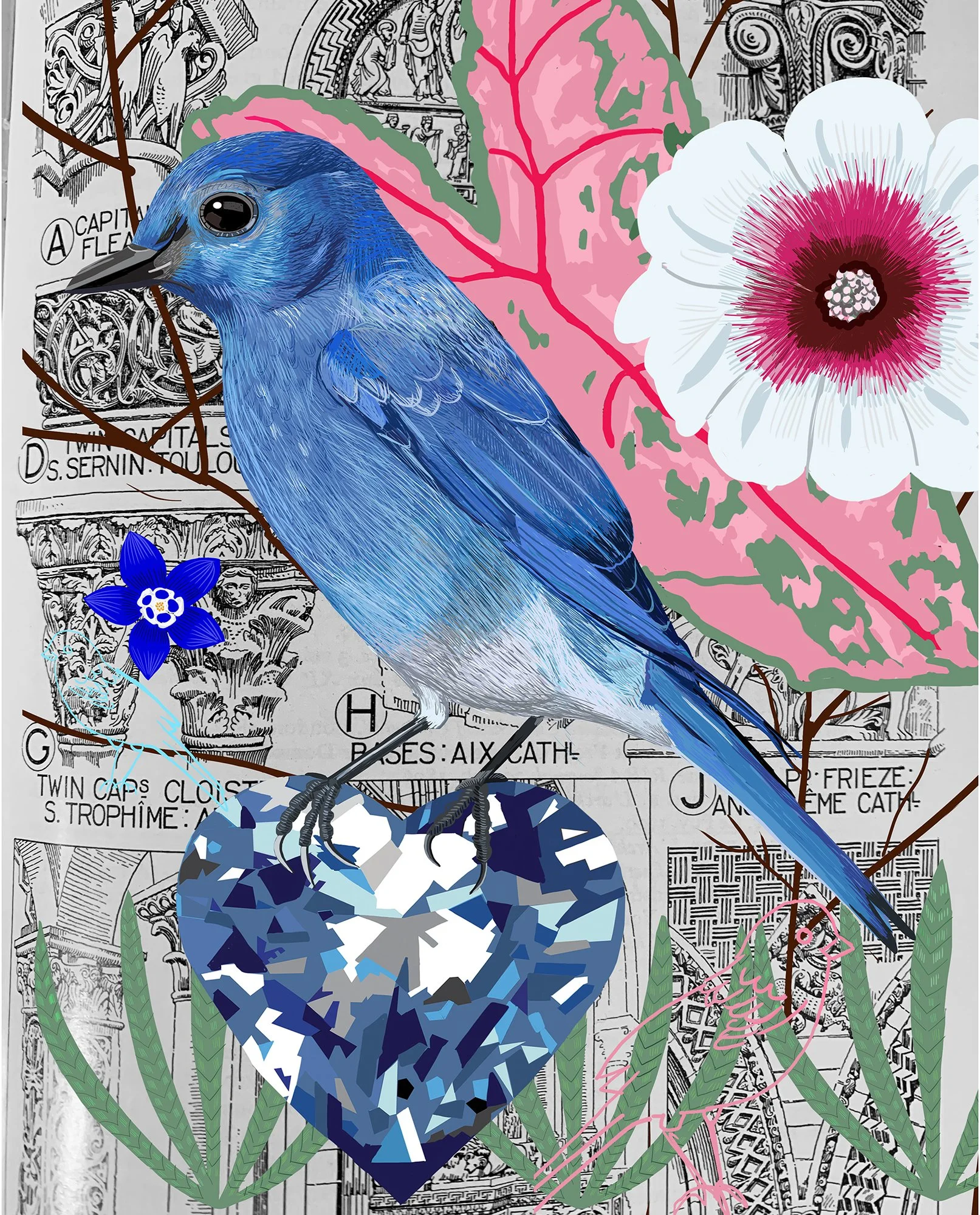 BluebirdCollage.jpg