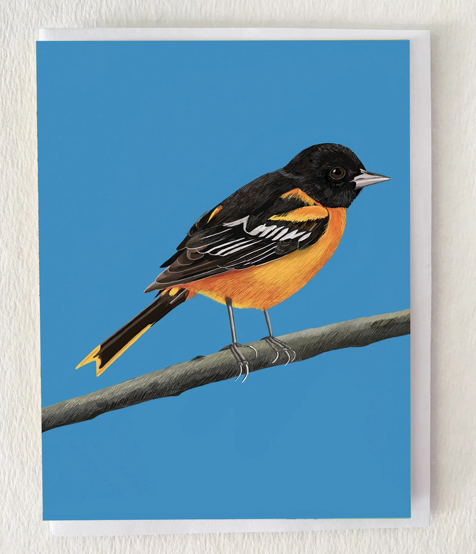 MOCKBaltimoreOriole.jpg
