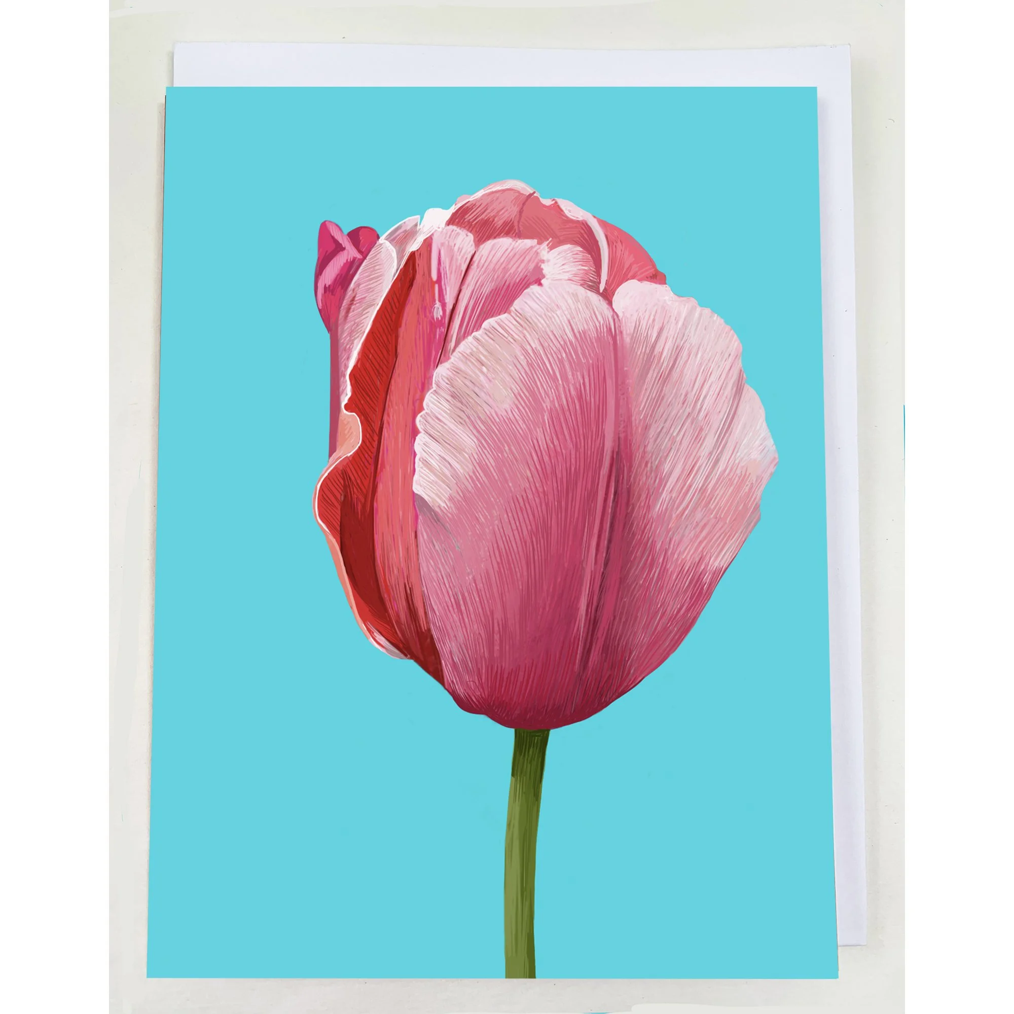 Pink Rose Greeting Card