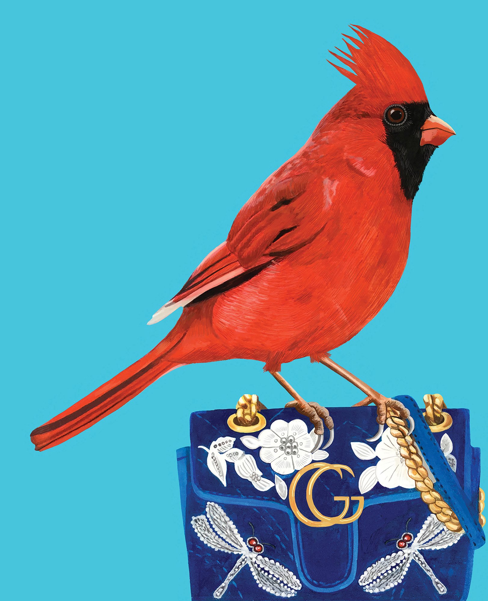DISPLAYRedCardinalGucciPRINT.jpg