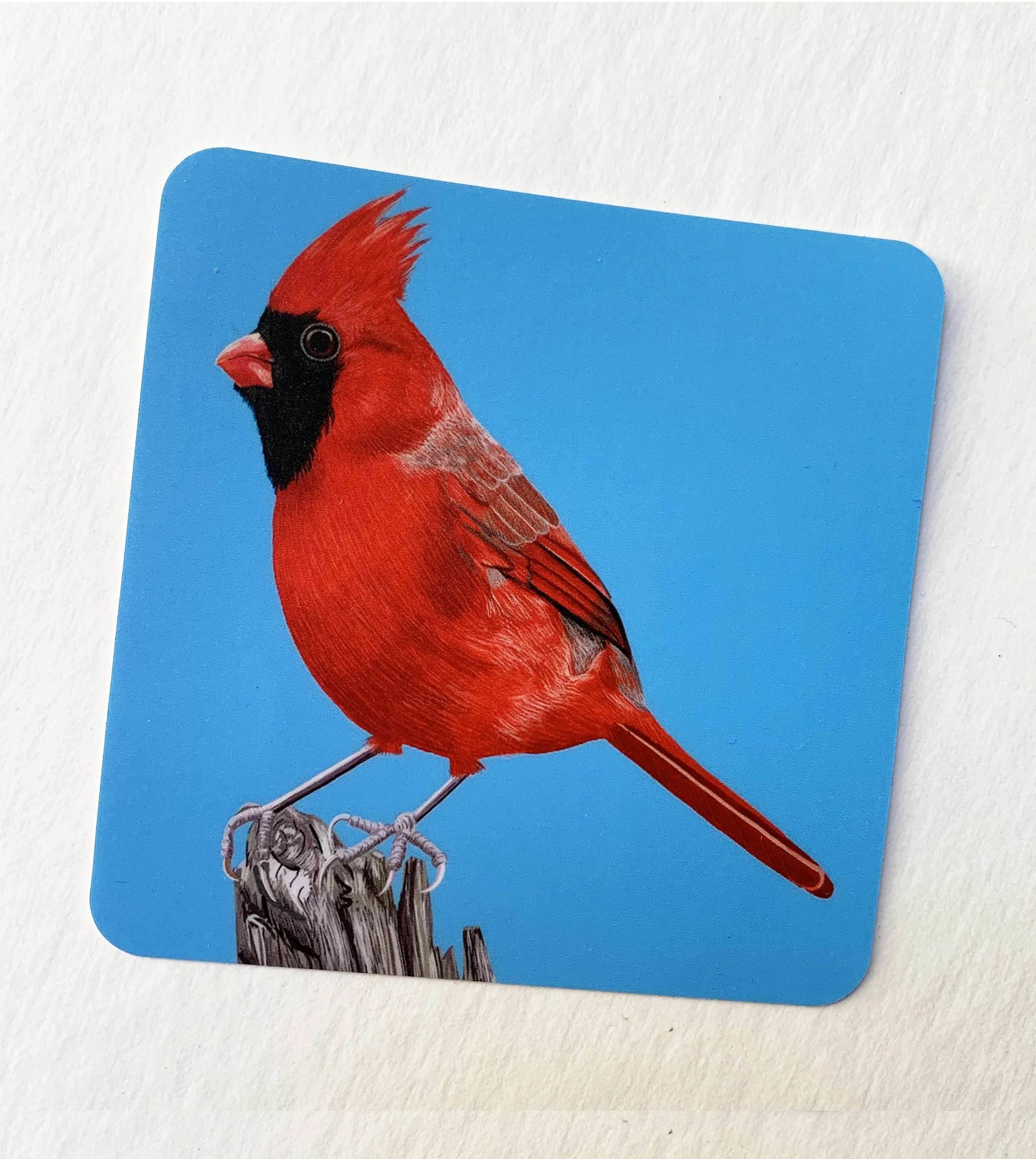 cardinalstickerNov.jp.g.jpg