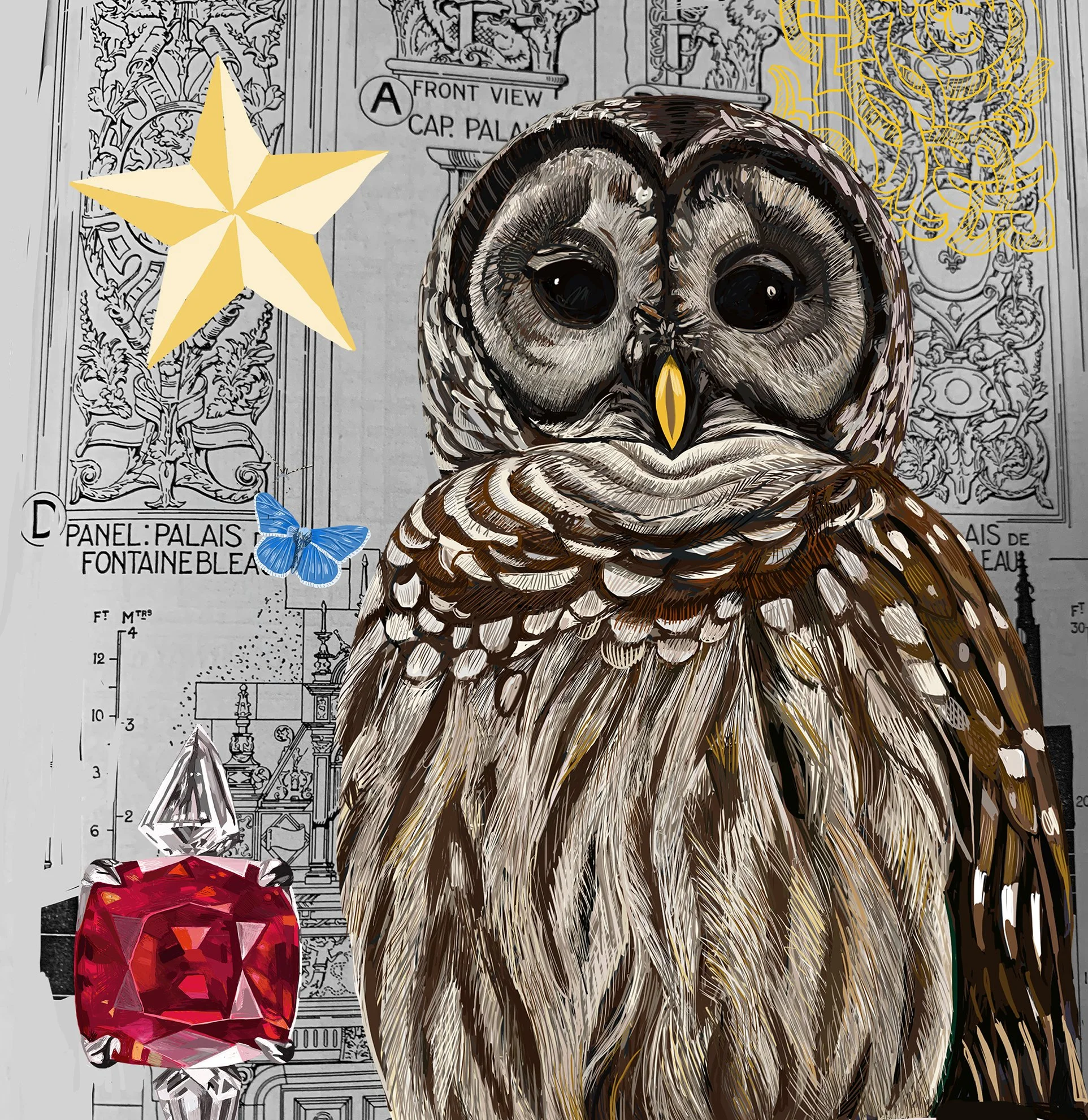 The Barred Owl Collage Greeting Card