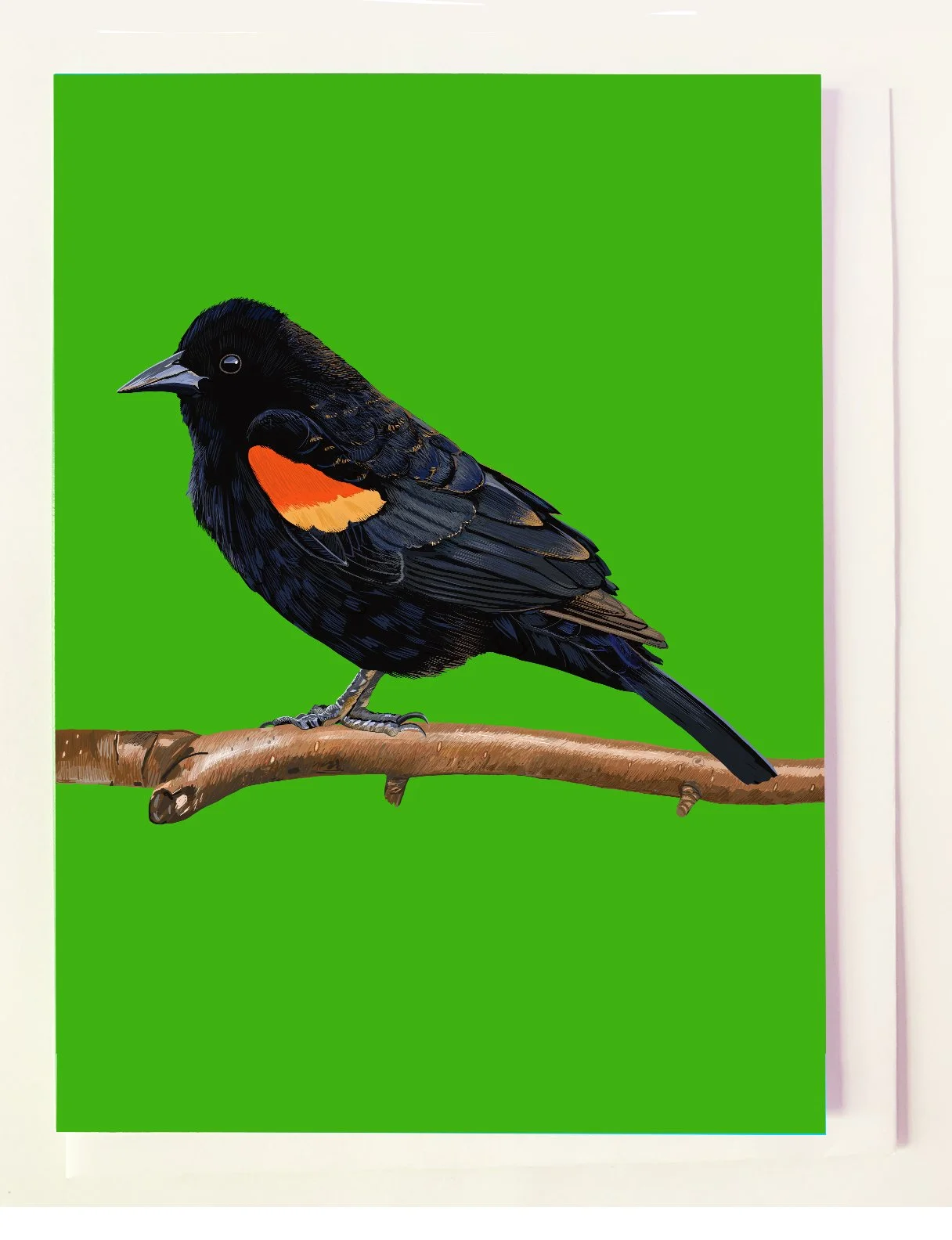 NEW ~~ The Red-winged Blackbird on Branch Greeting Card