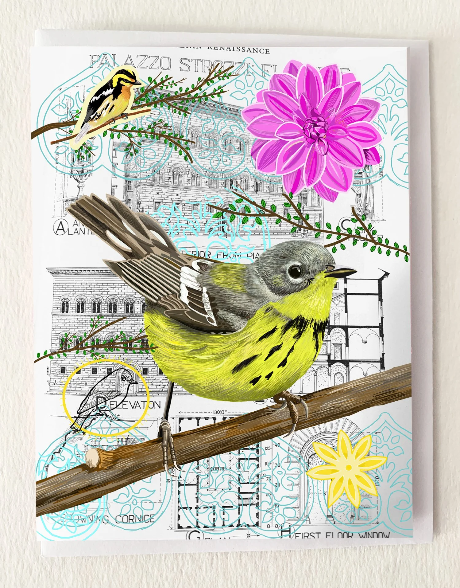 MOCKCOLCANWarbler.jpg