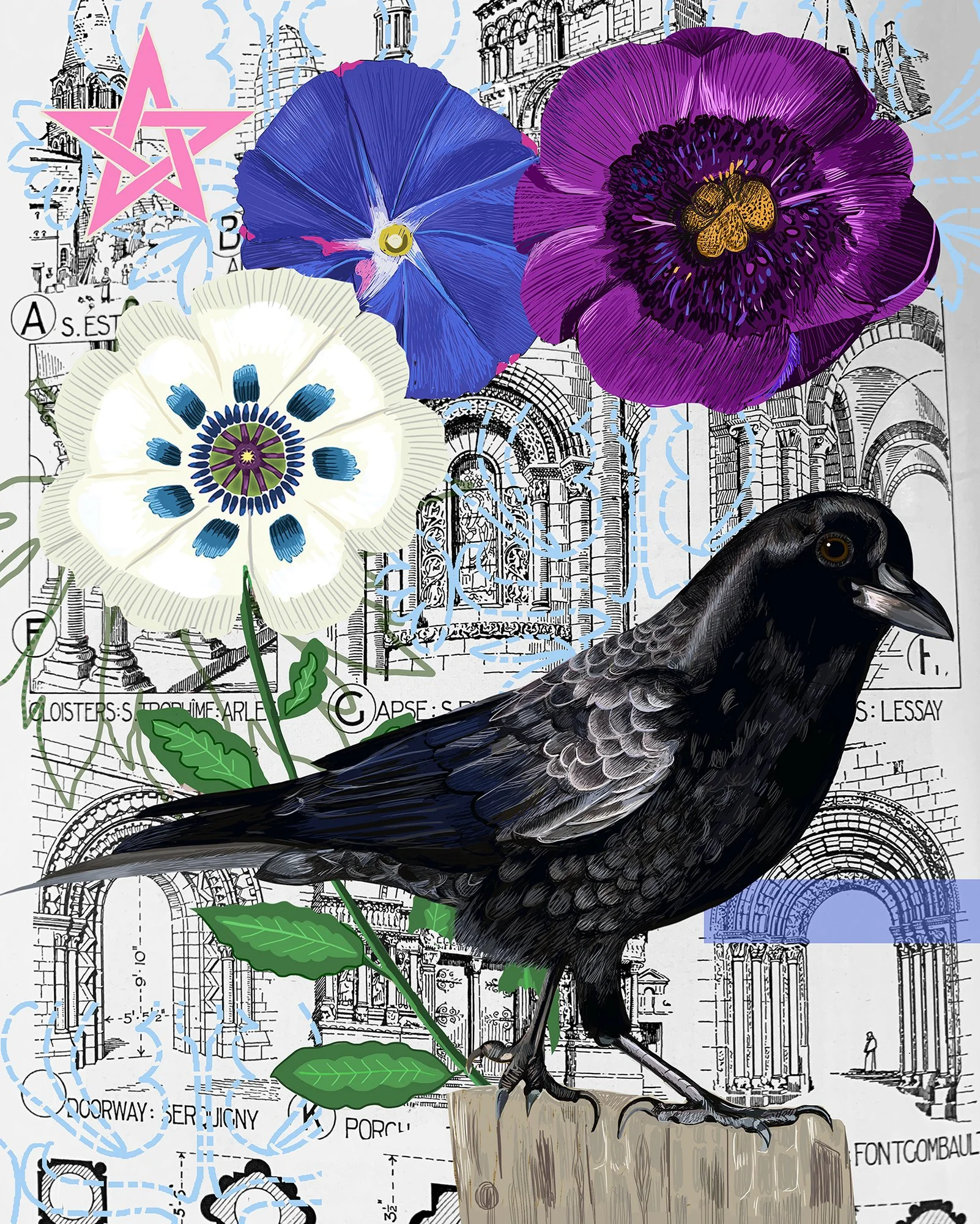 CrowCollage.jpg