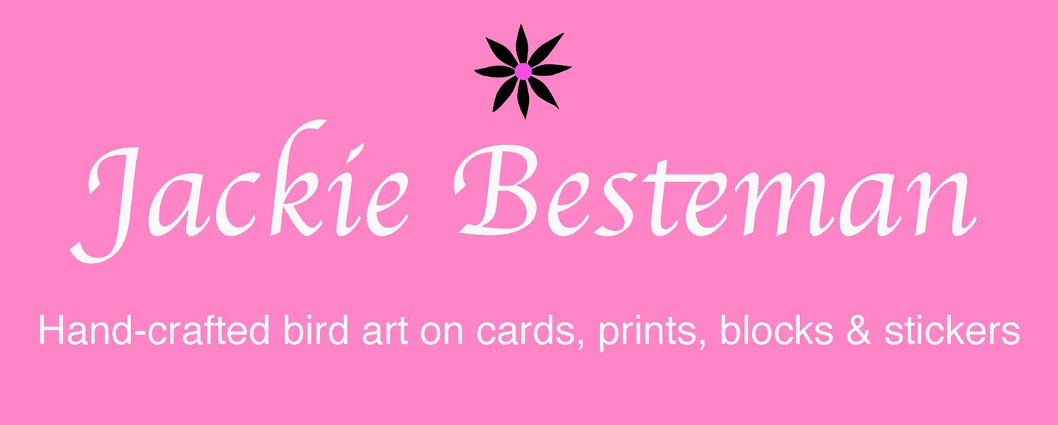 Colourful bird greeting cards and prints.