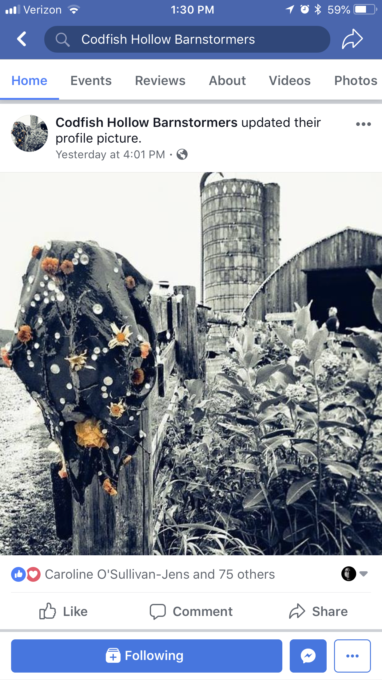 Codfish Hollow Barnstormers Profile Picture