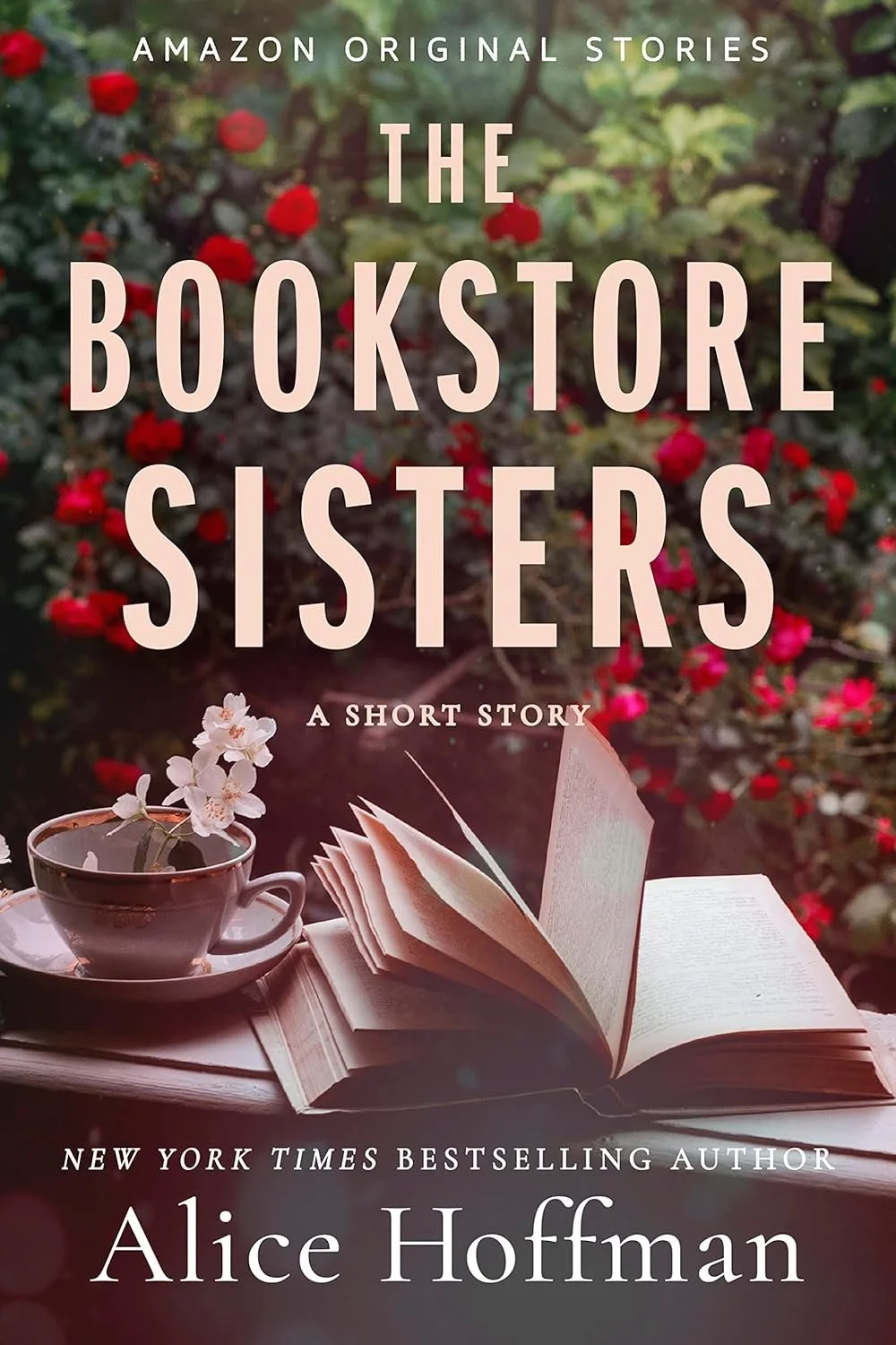 The bookstore sisters by Alice Hoffman