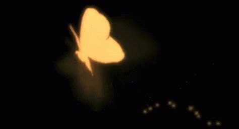 The moth in the flame