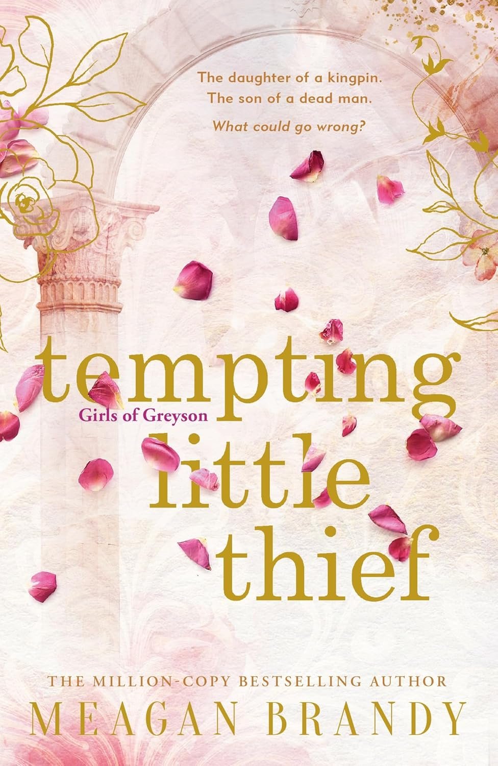 Tempting little thief by Meagan Brandy
