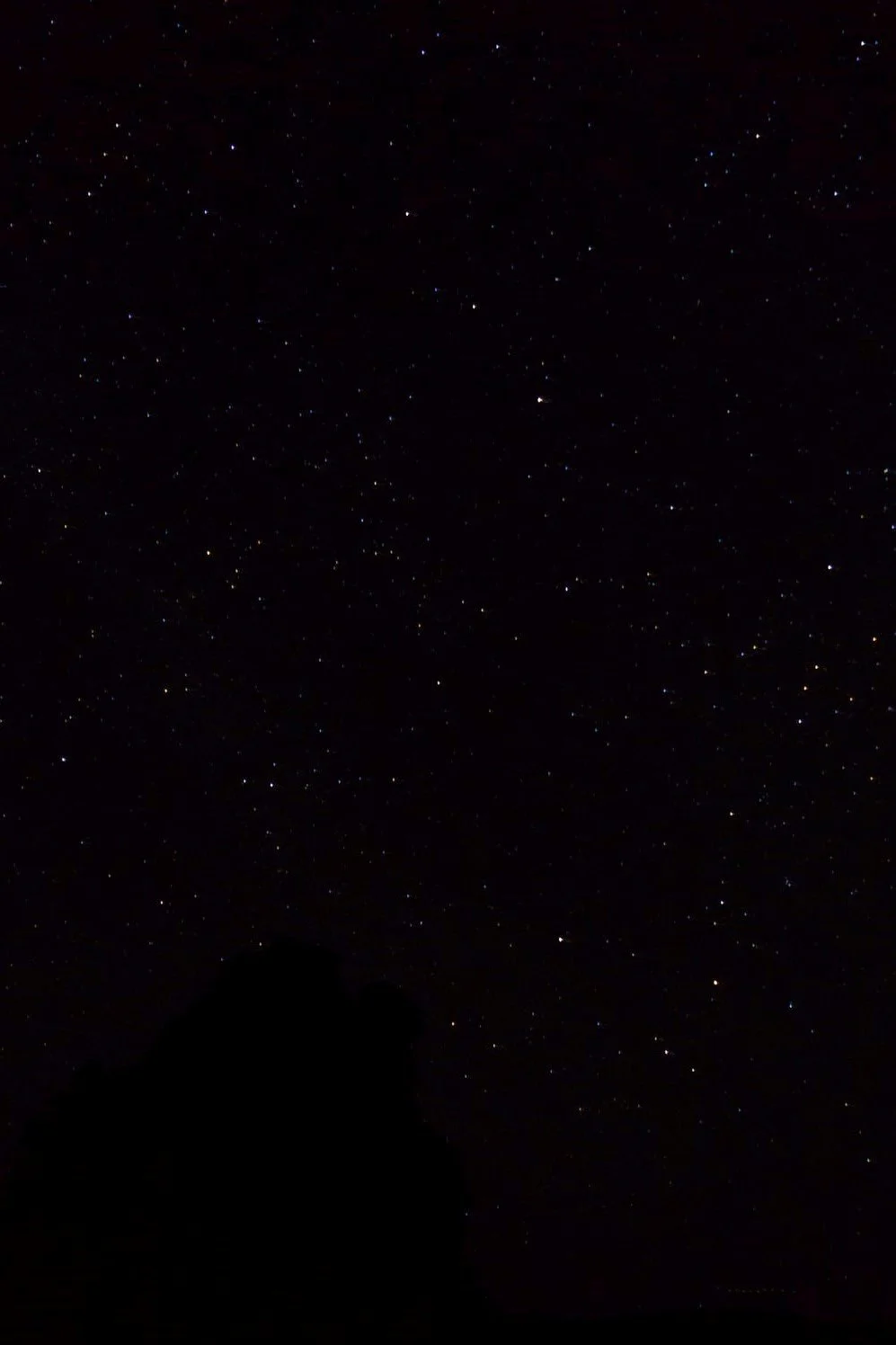 The game by Sadie Kincaid