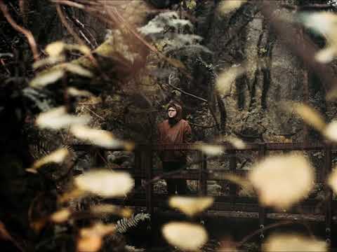 Peacock Affect - Lullaby