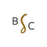 bsc-assetminimal@0.5x.png