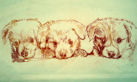   Description:   Three puppies   Medium:   Pastel and sepia pencil on paper   Dimensions:    H: 12 in   W: 18 in 