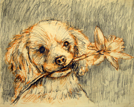   Description:  Dog with flower   Medium:  Pastel on paper   Dimensions:   H: 10 in W: 14.5 in 