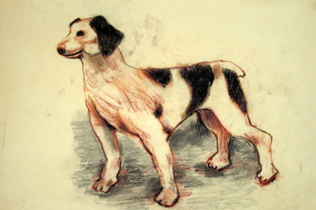   Description:   Portrait of dog   Medium:   Pastel and charcoal on paper   Dimensions:    H: 12 in   W: 18 in 