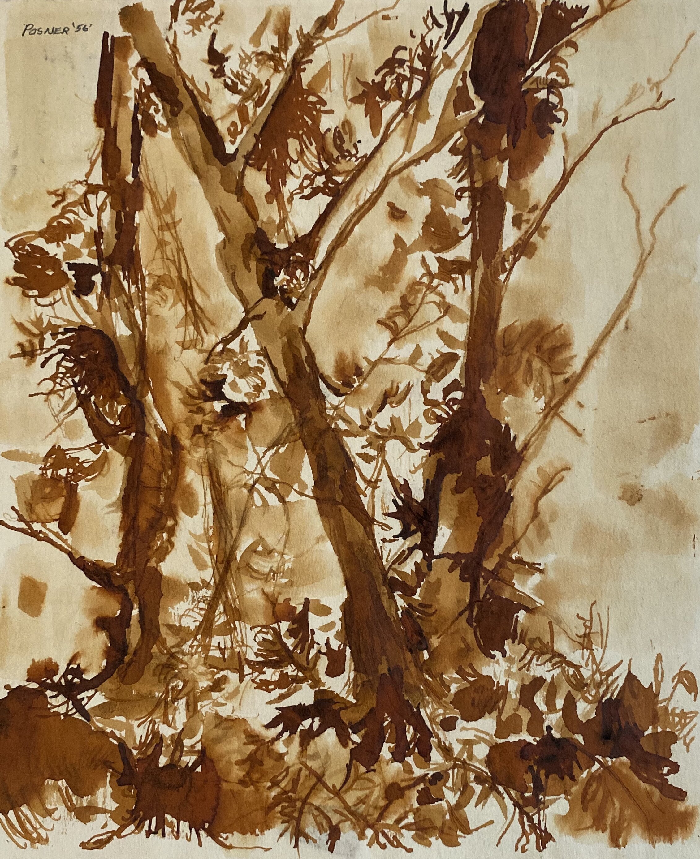   Description:  Forest in fall   Medium:  Ink on paper   Dimensions:   H: 8 in W: 7 in 