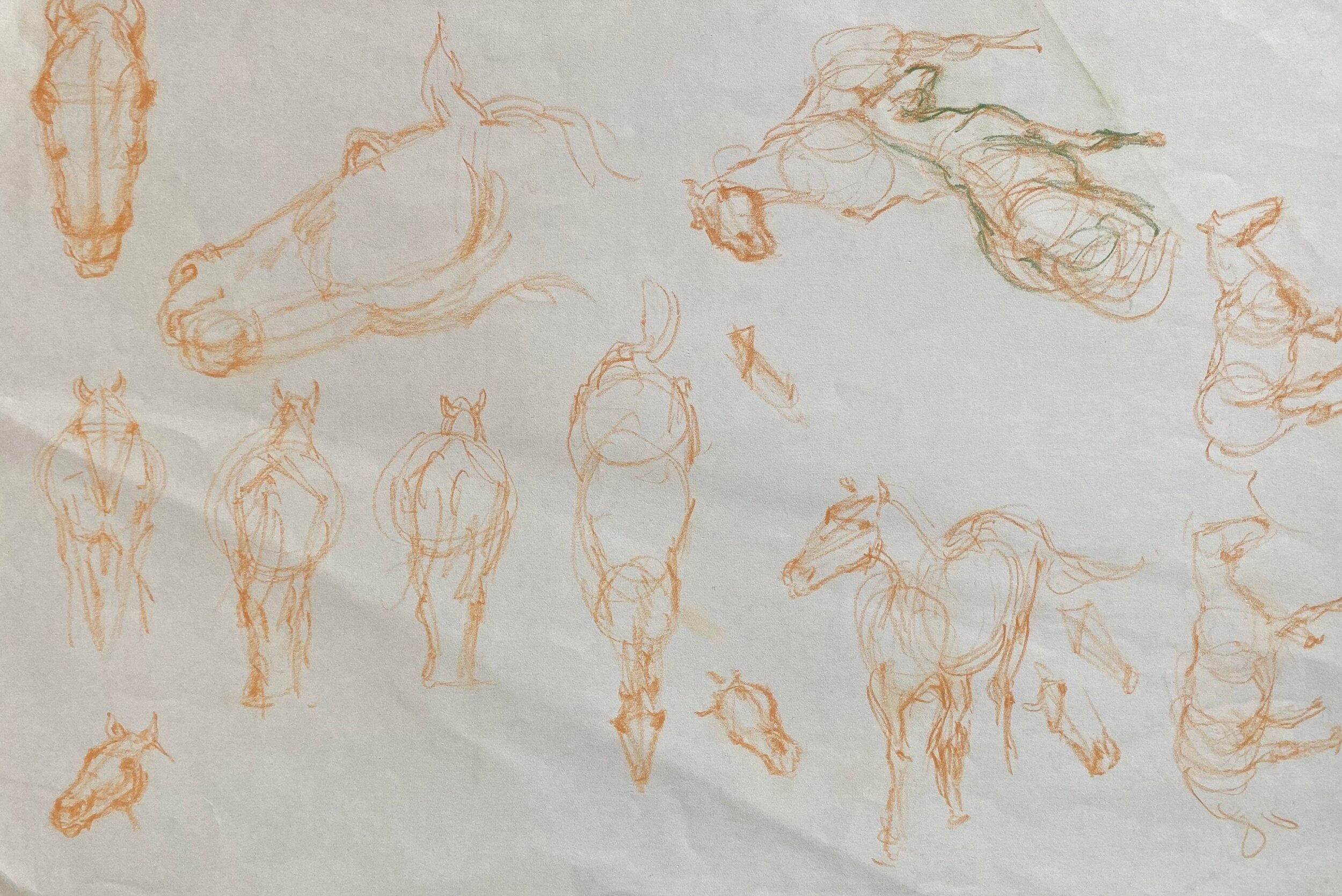   Description : Various sketch drawings of horses   Medium: Pastel and sepia pencil on paper   Dimensions:   H: 12 in W: 18 in 